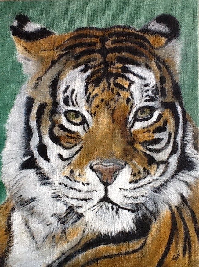 Tiger feb 19