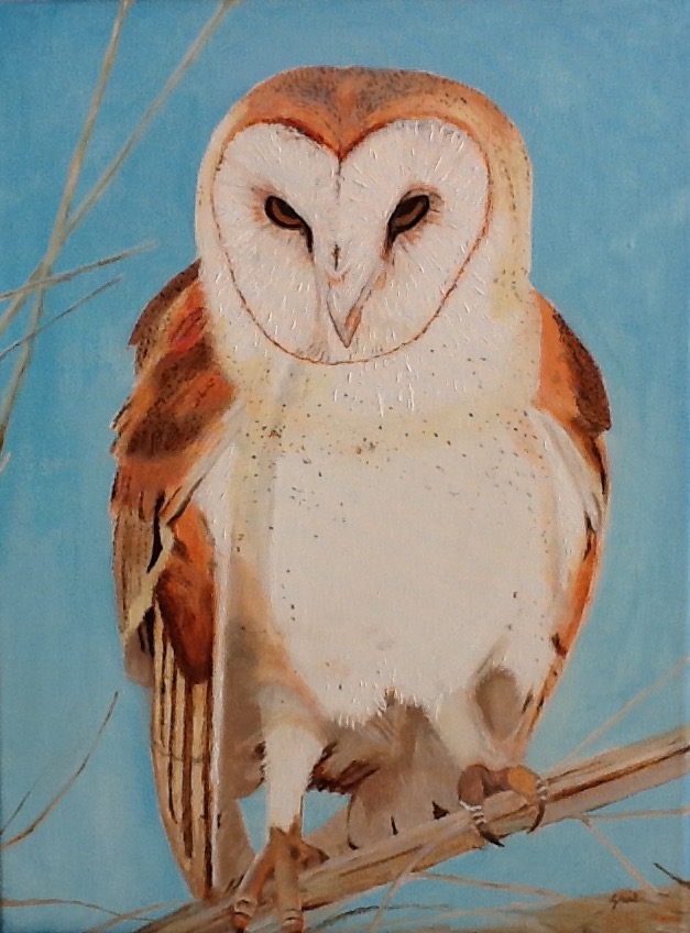 Owl April 2020